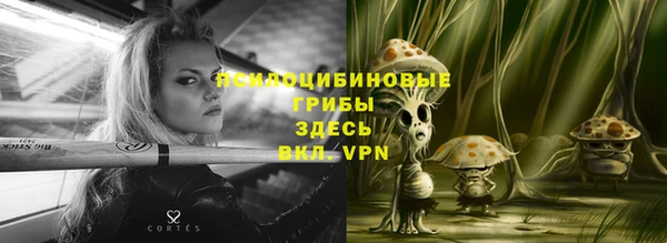 мескалин Богородицк