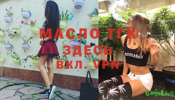 дмт Богородск