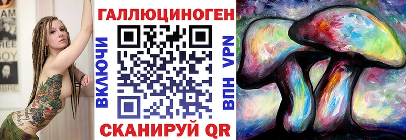 Псилоцибиновые грибы Psilocybe  Бирюсинск 